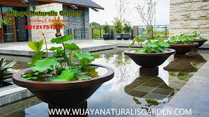 Lokasi sumber tersebut haruslah dekat dengan kolam ikan karena akan mempermudah dalam membersihkan atau menguras kolam ikan tersebut. Kolam Hias Minimalis Tukang Taman Surabaya Wijayanaturalisgarden 08121751311