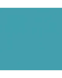 Image result for Bright Blue 1975 Chevrolet