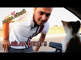 Konusan Kedim Mirracanla Bir Gun Gecirmek 4 Youtube Youtube Kedi Serum