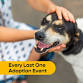 Every Last One Adoption Event @ Boris & Horton –... event in New York, NY