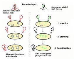 We did not find results for: Introduction A Short History Of Virology Springerlink