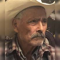 Martin Rocha Flores Obituary (2024)