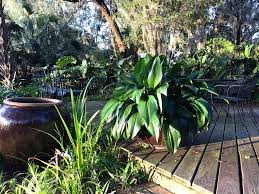 Schatz Landscape Design Home Facebook