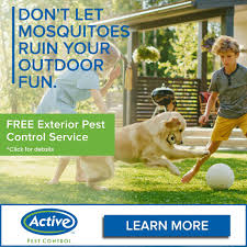 Inspect possible harborage areas and points of entry. Active Pest Control Home Facebook