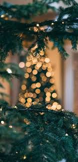 Explore more like christmas cell phone wallpaper. Aesthetic Tree Christmas Tree Hd Mobile Wallpaper Peakpx