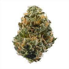 Haze Aka Original Haze Haze Brothers Marijuana Strain Information Leafly