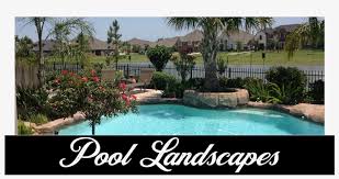Landscaping, hardscaping, pool installation and renovation, and excavation by great valley landscape and pool. Pool Landscaping Pool Landscapes Pool Scaping Swimming Pool 1000x495 Png Download Pngkit
