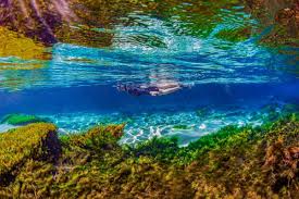 Bonito com Foz do Iguaçu - Expedição - Top Trip Adventure