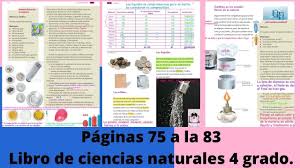 Paco el chato | libro de lecturas de primer grado libro del perrito cuentos infantiles 2020 español. Paginas 75 A La 83 Libro De Ciencias Naturales 4 Grado