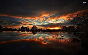 También tenemos fondos de pantalla hd para pc, la resolución se ajustará perfectamente a tu versión de windows. Fondo De Pantalla De Naturaleza Oscura Para Pc Fondos De Pantalla Hd Para Pc 1920x1200 Wallpapertip