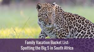 There are 299 mammal species in south africa, of which two are critically endangered, eleven are endangered, fifteen are vulnerable, and thirteen are near threatened. Family Vacation Bucket List Spotting The Big 5 In South Africa