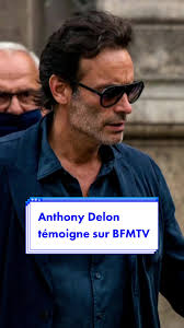 Anthony Delon témoigne au sujet de la dame de compagnie de son père, Alain  Delon, contre qui les enfants de l’acteur ont porté plainte pour «  harcèlement moral » #alaindelon #anthonydelon #bfmtv