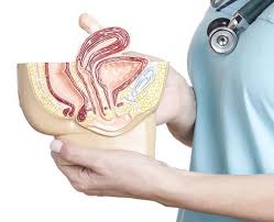 Pin En Salud