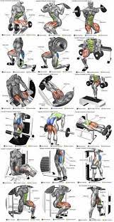 pin by alparslan demirural on abs workout shoulder workout leg workouts gym bodybuilding workouts