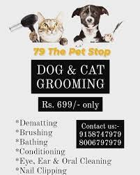 Pet stop offers ultracare, the best warranty in the business and gentlesteps™, an entirely gentle training program to help pets get accustomed to their new system as quickly and safely as possible. 79 The Pet Stop Photos Facebook