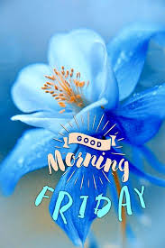 4 happy friday sms & short text messages: Good Morning Friday Good Morning Quotes Images Wishes Facebook