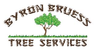 Katy tree service tree service katy tx tree removal katy tx tree care katy tx tree trimming katy tx stump grinding katy tx stump removal katy tx. Tree Trimming Removal Clean Up Pattison Katy Mission Bend Fulshear Tx Byron Bruess Tree Services