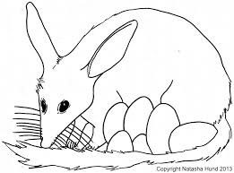 Playfulljoy Australian Easter Bilby Coloring In Page Easter Bilby Easter Bilby Craft Bilby Craft