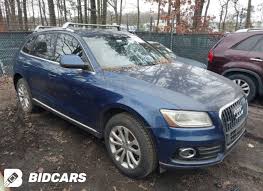 Image result for Scuba Blue 2014 Q5