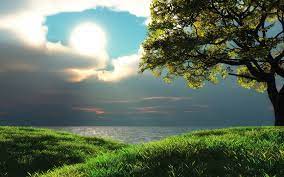 Beautiful Nature Nature Nature Wallpaper
