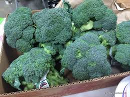 Results 1 to 7 of 7. Tips For Ordering Organic Food From Azure Standard Simplify Live Love