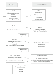 Flow Chart Illustrating Essential Processing And Testing