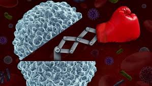 In men, initial hiv symptoms are typically unspecific. Hiv Infeksjon Symptomer Nhi No