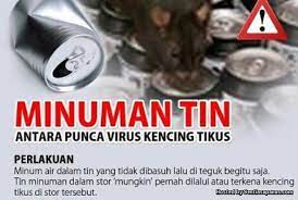 .tikus, misteri kencing tikus, info kesihatan kencing tikus bahagian 2, mengenal leptospirosis penyakit di kencing tikus talk show doktere inyong edisi 26 agustus 2018, penyakit kencing tikus. Apa Itu Kencing Tikus Punca Jangkitan Simptom Dan Rawatannya Sentiasa Panas