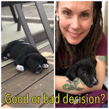 Last day for "baby" (this is the pitt that helped me learn not all dogs are  bad) her owner is moving several states away and today was the day