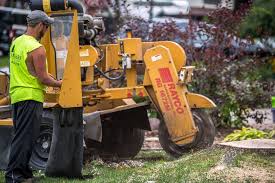 Indigo professional tree service offers expert tree services, pruning, removal, and emergency cleanup. Timbers Tree Service Inc St Clair County Mi