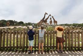 Ontvang 15% vroegboekkorting op zomervakanties bij beekse bergen! Vakantiepark Beekse Bergen In Hilvarenbeek Die Besten Angebote