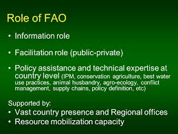 Integrated pest management, or ipm, is a process you can use to solve pest problems while minimizing risks to people and the environment. Development Of A Good Agricultural Practice Approach At Fao By Loretta Sonn Senior Technical Adviser Fao Agriculture Department Ppt Download