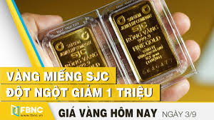 Gia Vang Hom Nay 3 9 2020 Vang Miếng Sjc đột Ngột Giảm 1 Triệu Fbnc Youtube