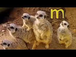 Join jack hartmann and his animal friends and learn the alphabet in animal alphabet rock. Green Balloon Club Animal Alphabet Song Cbeebies Youtube