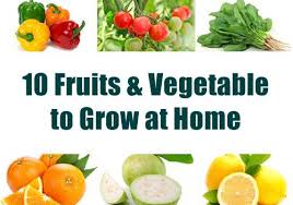 Check spelling or type a new query. 10 Vegetables And Fruits To Grow At Home Kitchen Garden Pakistan Hotline