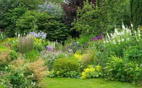 Maybe you would like to learn more about one of these? 7 Perennial Garden Mistakes To Avoid And How To Fix Them