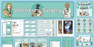 Searching for clinics in your area. Vet S Surgery Role Play Pack Teacher Made