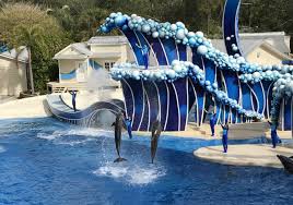 Bundle theme park tickets with your. Free Busch Gardens Tampa Seaworld Orlando Family Trip Green Vacation Deals