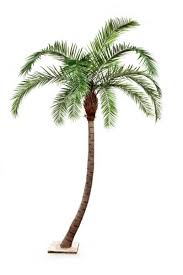 What marketing strategies does pslme use? Palme Phoenix 300cm 11blatter Gebogen Grun Palme Kunstbaume Pflanzen Sortiment Deko Klocke Online