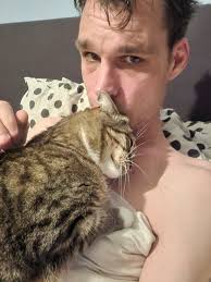 Cat owners being punished for late second dinner