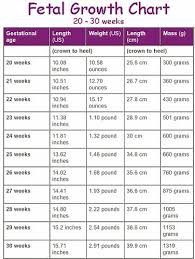 Unborn Baby Growth Chart Bedowntowndaytona Com