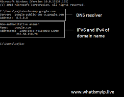How To Find Ip Address Of Any Domain Name?