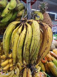 Kebun pisang tanduk  harvest banana  welcome to bumisamin channel. Pisang Tanduk Bananas Information And Facts