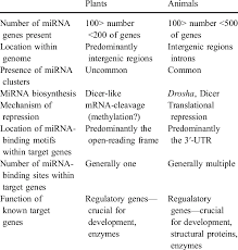 But plant contains cell wall and chloroplast while animal cell doesn't contain chloroplast and cell wall. Summary Of Difference Between Plant And Animal Mirna Systems Download Table