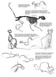 Cat Anatomy Drawing Reference Guide Drawing References And Resources Cat Anatomy Animal Drawings Anatomy Drawing Here you can explore hq sitting cat transparent illustrations, icons and clipart with filter setting like size, type, color etc. cat anatomy drawing reference guide