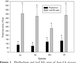 Pdf Phyllochron And Leaf Lifespan Of Four C4 Forage Grasses