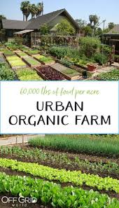 Garden Planning Organic Vegetable Garden Design Organic Vegetable Garden Design Australian Vege In 2020 Biologische Landwirtschaft Bio Gemuse Hinterhof Garten