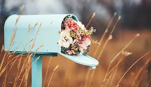 Bouquet d'automne: 12 fleurs et arbustes à intégrer dans vos bouquets