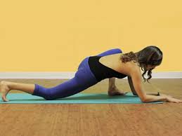 Lizard Pose Utthan Pristhasana Hip Openers Yoga Poses Lizard Pose Hip Opening Yoga Yoga