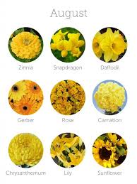 We did not find results for: 450 August Wedding Flowers Ideas Wedding Flowers August Wedding Flowers Wedding